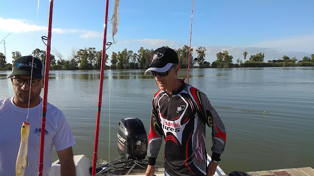 pesca bonitos en rio ebro