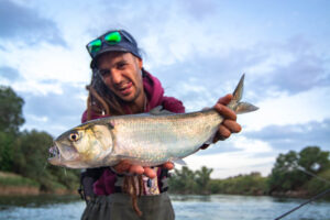 tallahams delta ebro con mosca