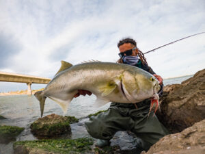 tallahams delta ebro con mosca