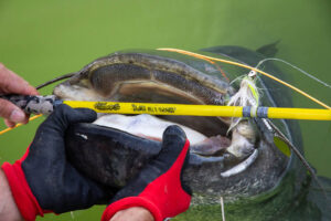 sirulo pesca mosca rio ebro