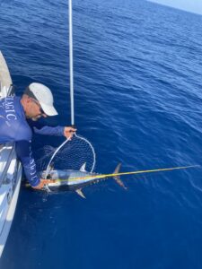 pesca atun delta ebro