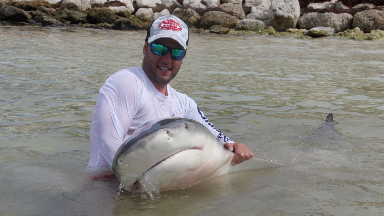 pesca tiburon miami