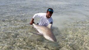 tour pesca tiburones miami